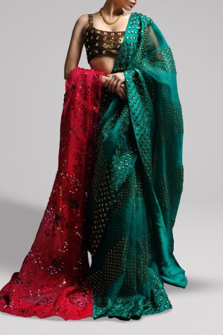 Shady Glade Embellished Organza Sari