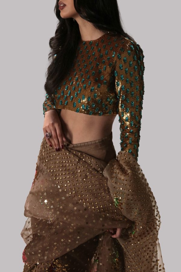 Almondine Embellished Organza Sari - Image 2