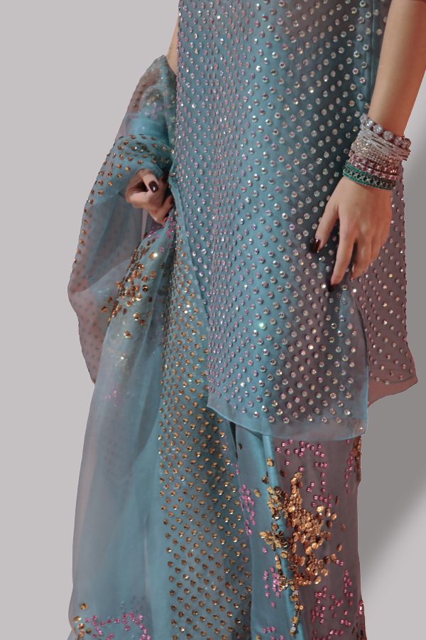 Aqua Embellished Organza Set - Image 4