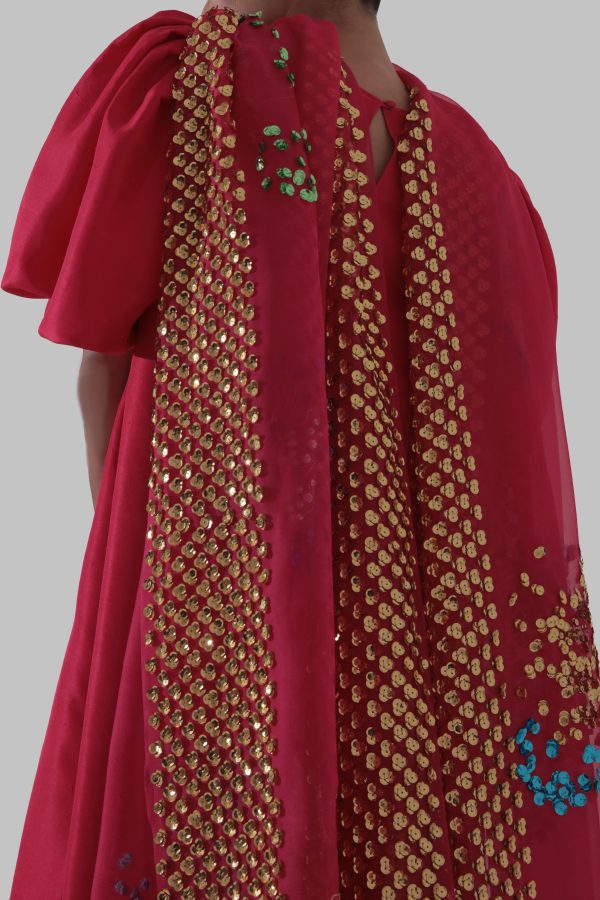 Lollipop Red Embellished Raw Silk Set - Image 3