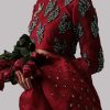 Tango Red Embellished Organza Sari - Image 3
