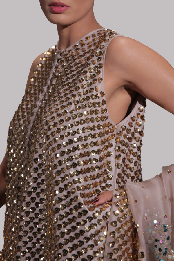 Silver Grey Embellished Raw Silk Maxi Set - Image 4