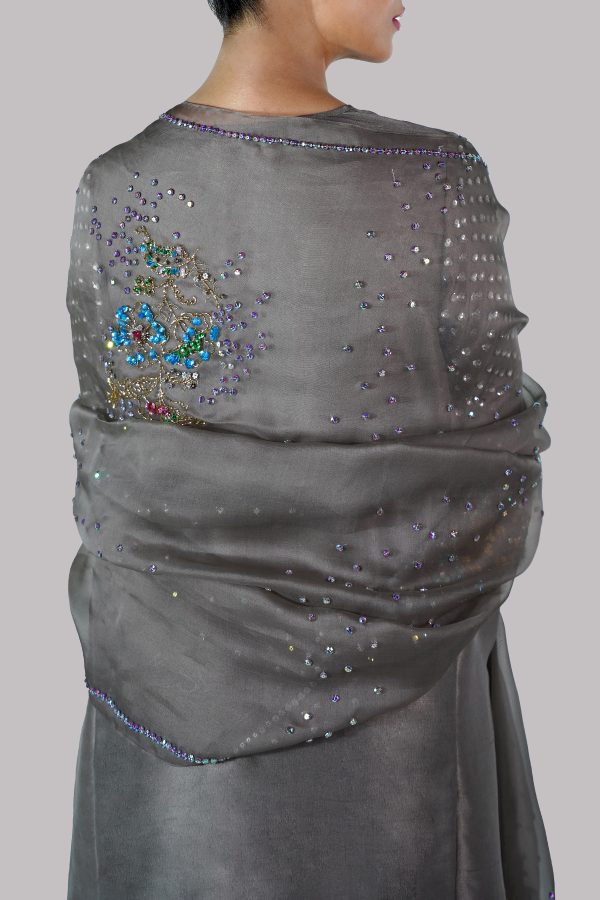 Taupe Grey Embellished Raw Silk Set - Image 4