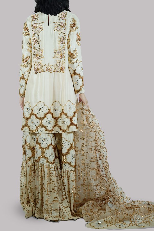 Lamb's Wool Embellished Gharara Set - Image 3