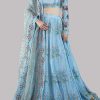 Baltic Sea Lehenga Choli Embellished Set