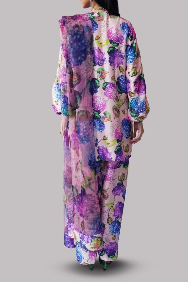 Crystal Rose Printed Embellished Raw Silk Set - Image 3