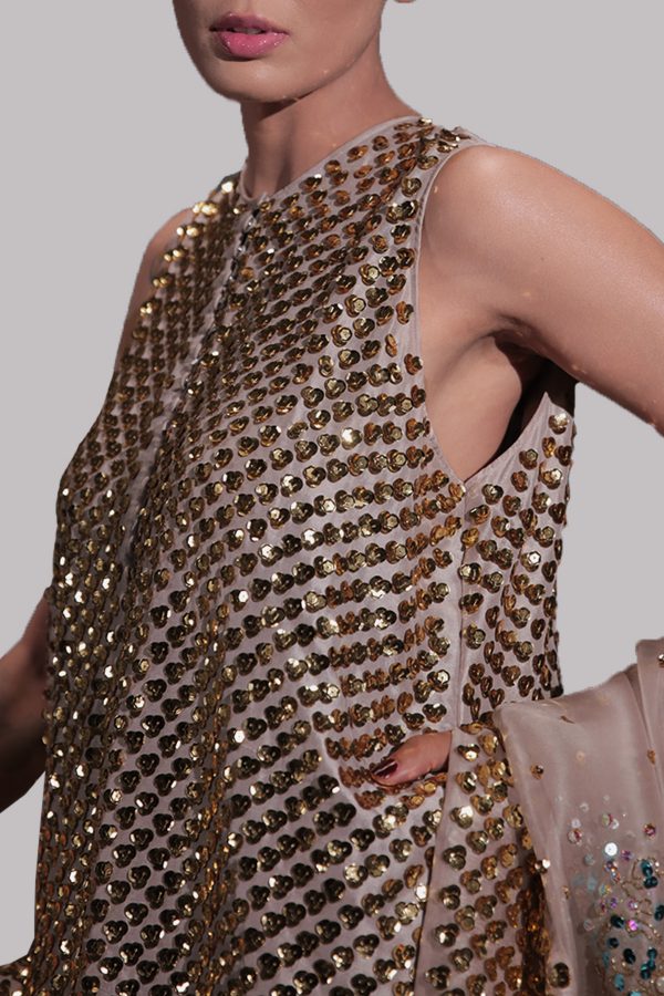 Silver Grey Embellished Raw Silk Maxi Set - Image 3