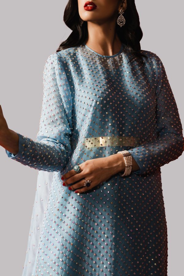 Blue Atoll Crystal Embellished Organza Maxi Dress - Image 3
