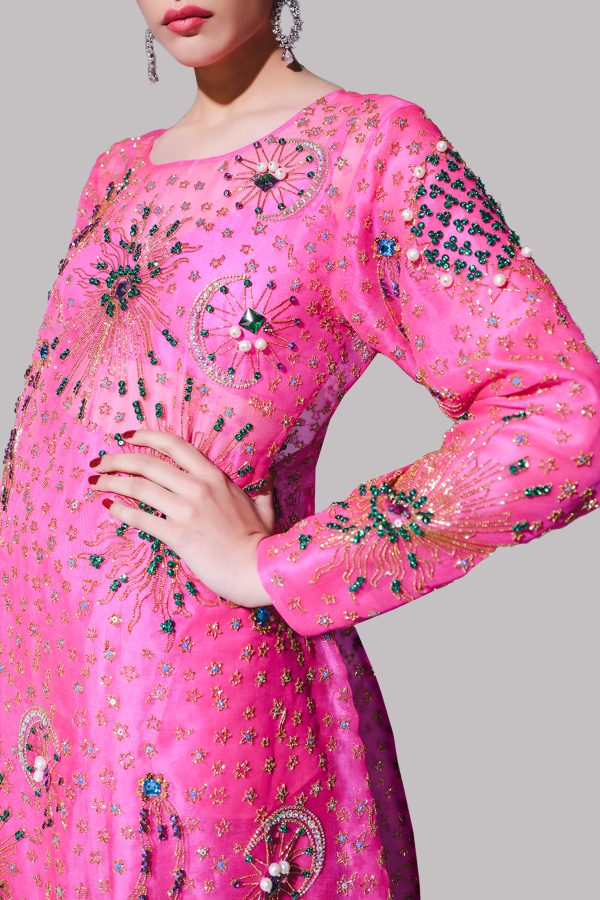 Diva Pink Embellished Organza Maxi Dress - Image 2