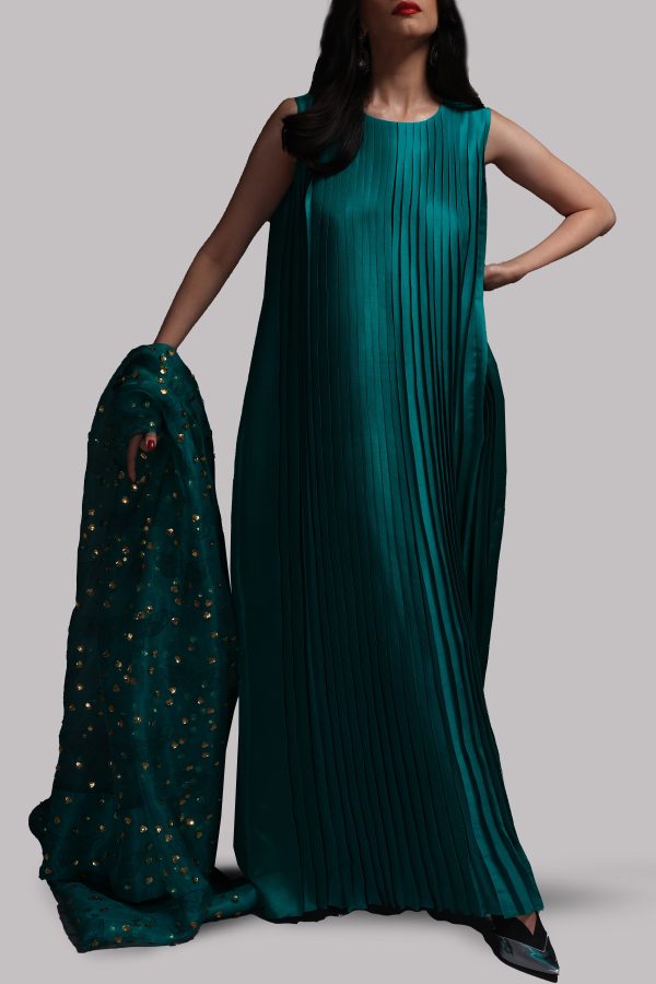 Shady Glade Pleated Raw Silk Maxi with Embellished Dupatta - Image 2