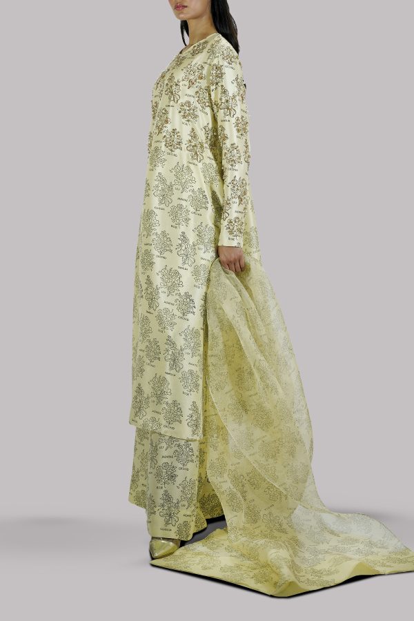 Verbena Yellow Block Printed & Embellished Raw Silk Set - Image 2