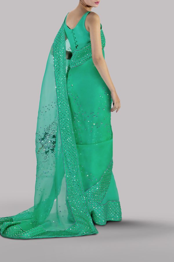 Spring Bud Embellished Organza Sari - Image 2