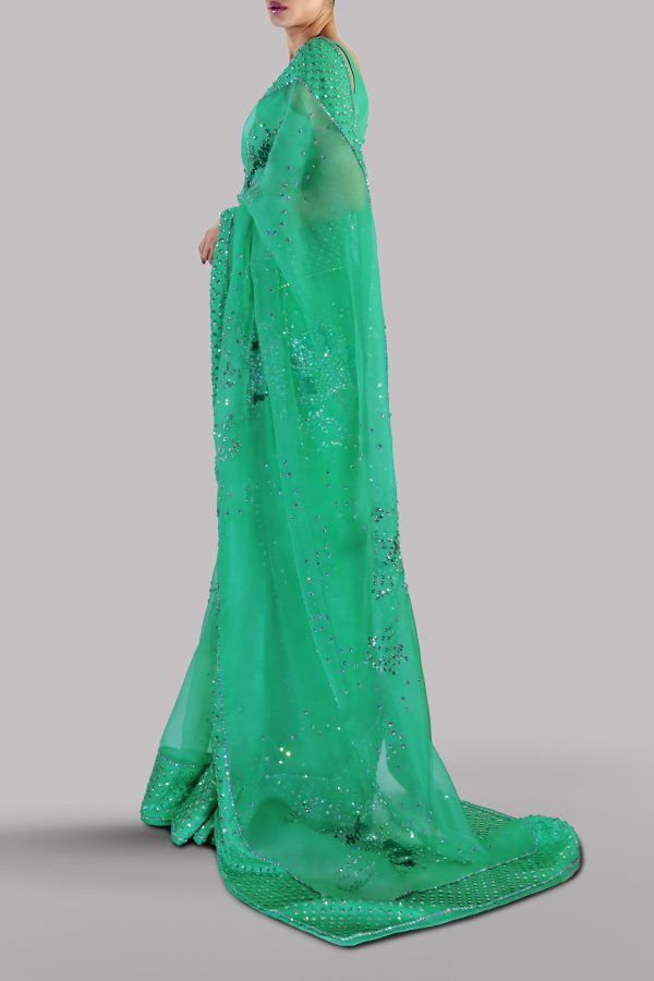 Spring Bud Embellished Organza Sari - Image 3