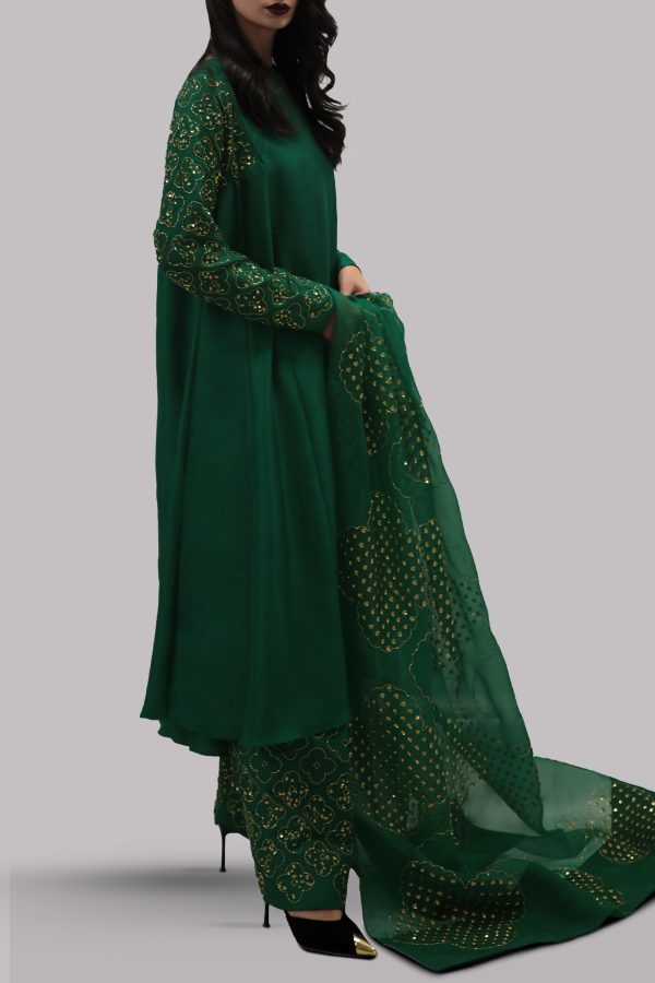 Galapagos Green Embellished Raw Silk Set - Image 2