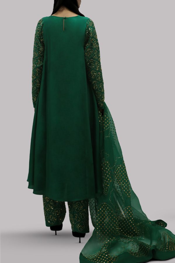 Galapagos Green Embellished Raw Silk Set - Image 3