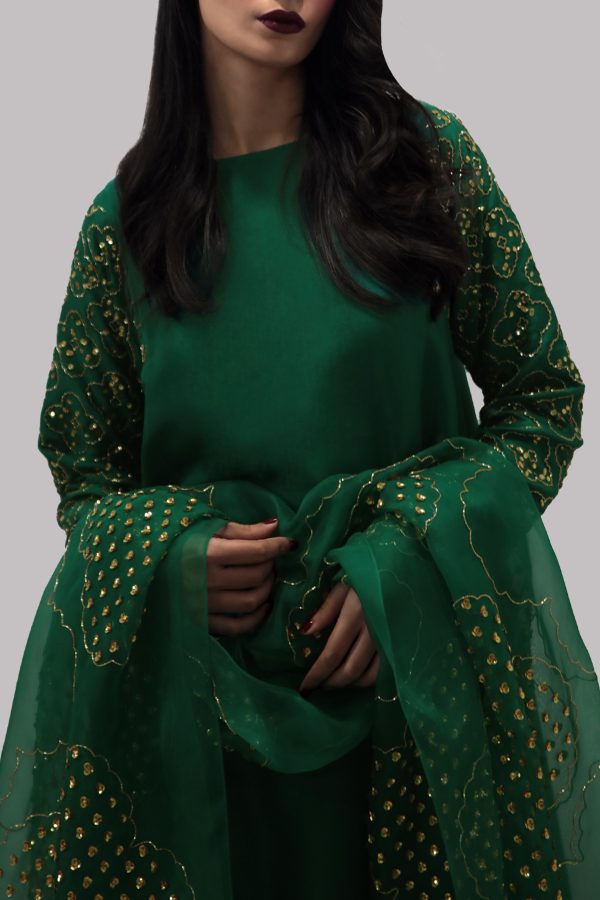 Galapagos Green Embellished Raw Silk Set - Image 4