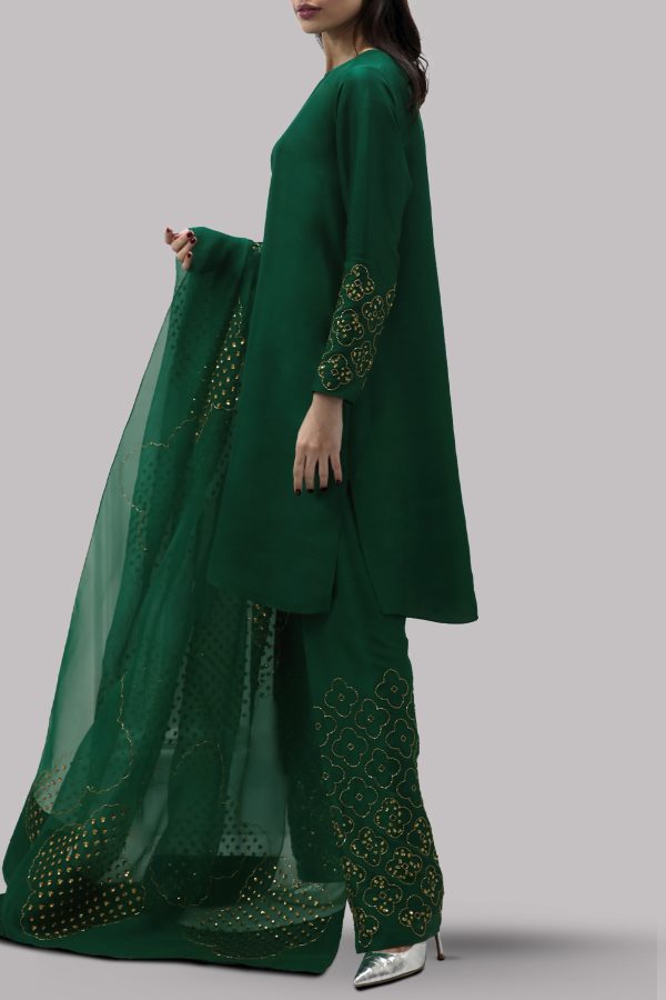 Galapagos Green Embellished Raw Silk Set - Image 2