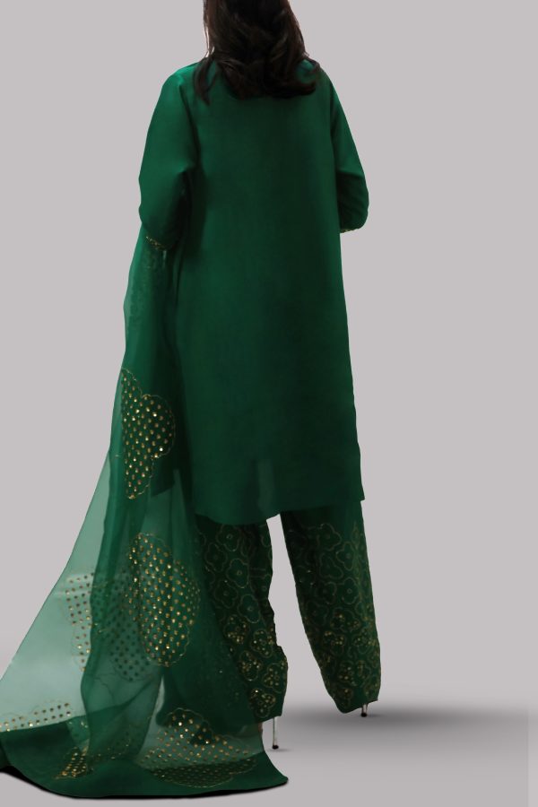 Galapagos Green Embellished Raw Silk Set - Image 3