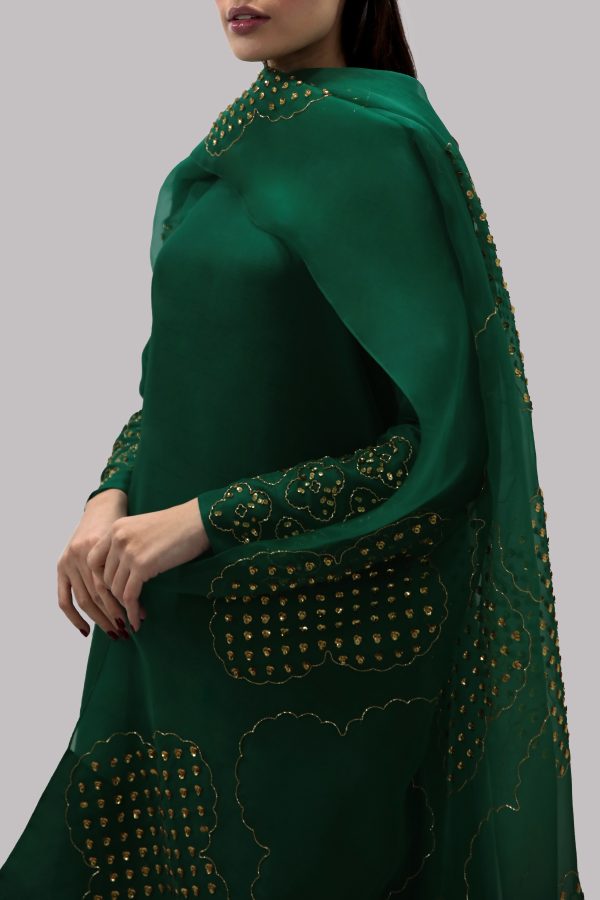 Galapagos Green Embellished Raw Silk Set - Image 4