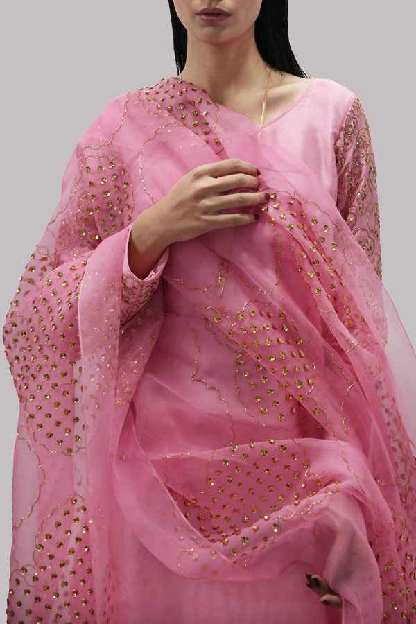 Candy Pink Embellished Raw Silk Set - Image 4