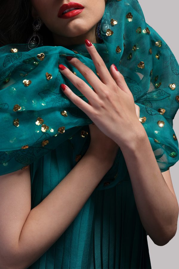 Shady Glade Pleated Raw Silk Maxi with Embellished Dupatta - Image 3