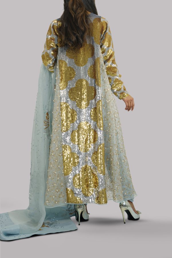 Aquamarine Organza Embellished Churidaar Set - Image 3