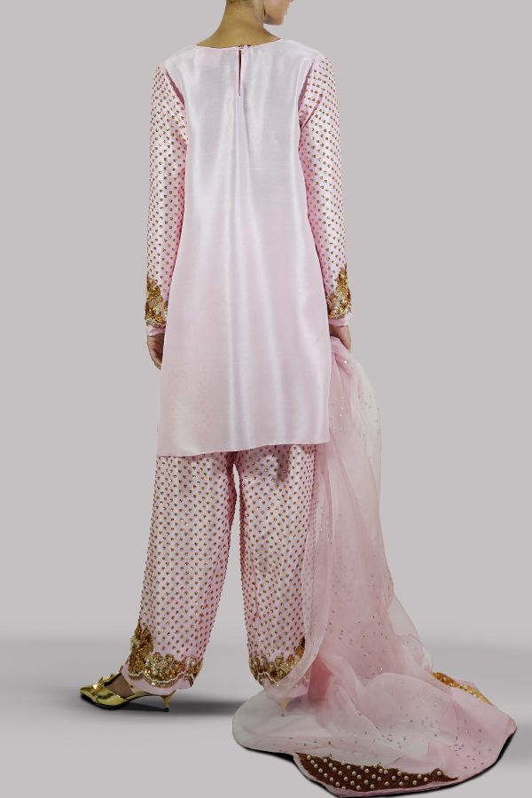 Rose Shadow Embellished Raw Silk Set - Image 3