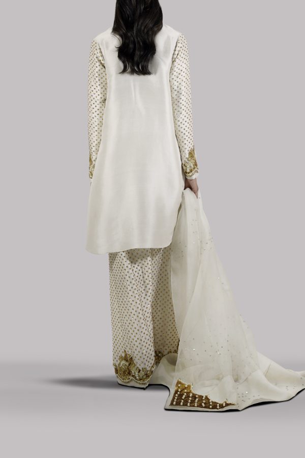 Egret Embellished Raw Silk Set - Image 3