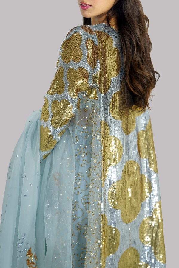 Aquamarine Organza Embellished Churidaar Set - Image 4