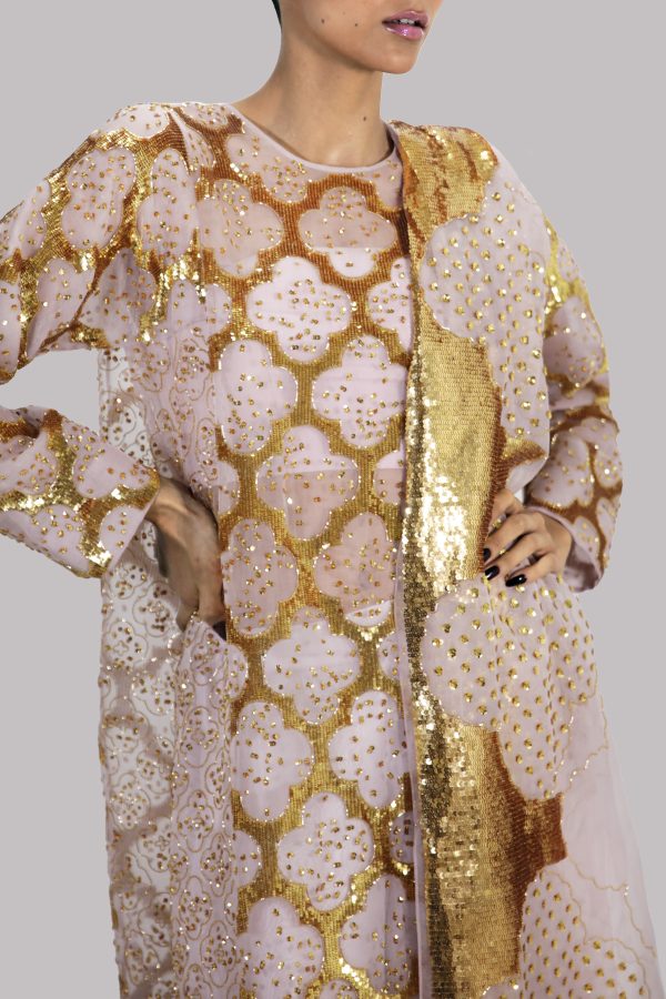 White Sand Embellished Organza Set - Image 4