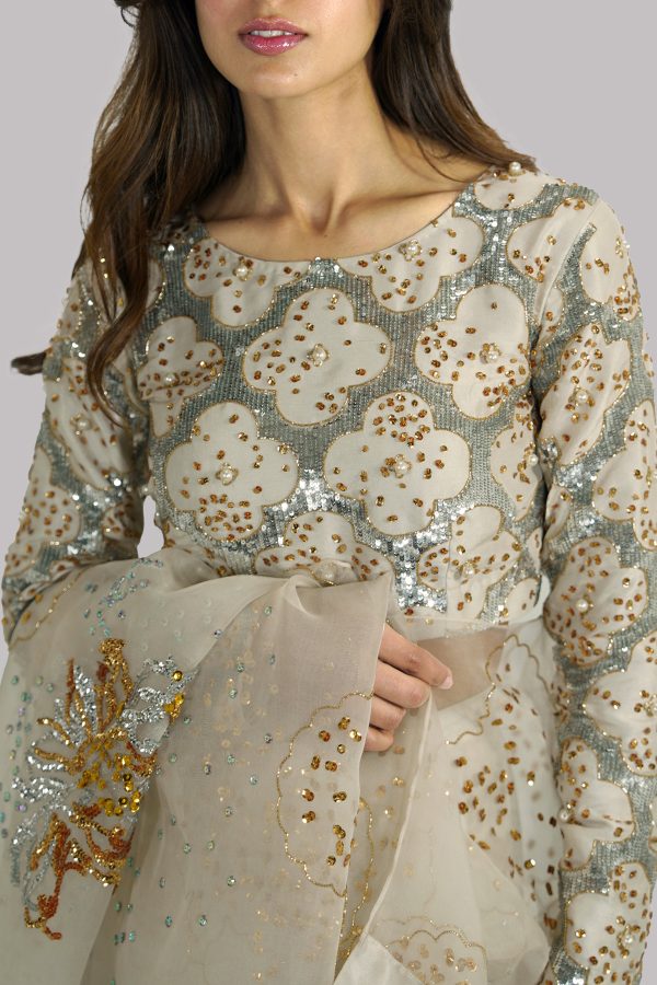 Egret Embellished Lehenga Choli Set - Image 4