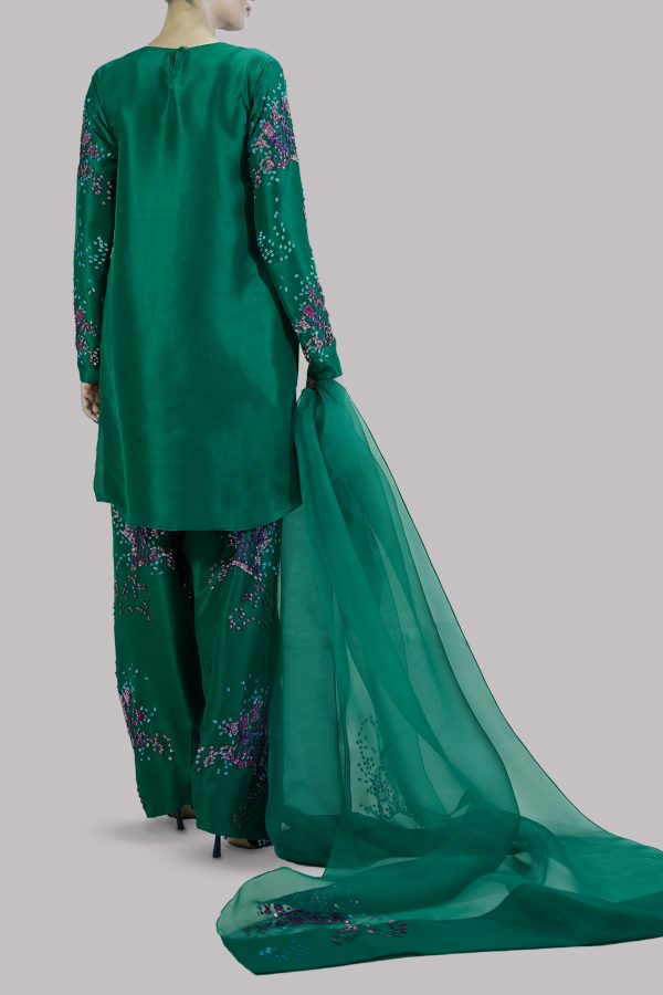 Galapogas Green Embellished Raw Silk Set - Image 3