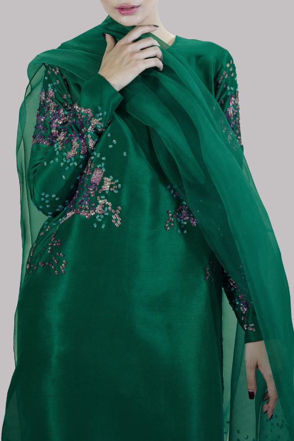 Galapogas Green Embellished Raw Silk Set - Image 4