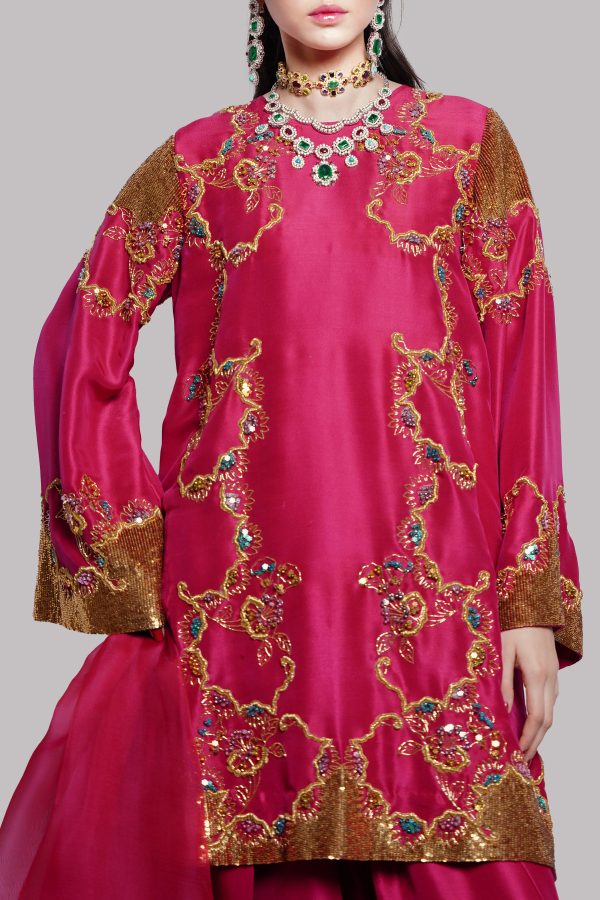 Tango Red Embellished Raw Silk Set - Image 4
