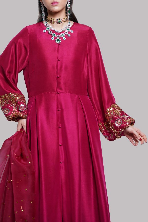 Tango Red Embellished Raw Silk Set - Image 4