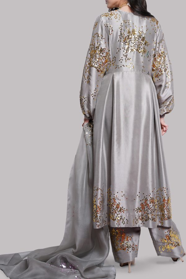 Steeple Grey Embellished Raw Silk Set - Image 3