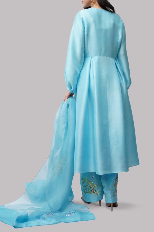Tropical Breeze Blue Embellished Raw Silk Set - Image 3