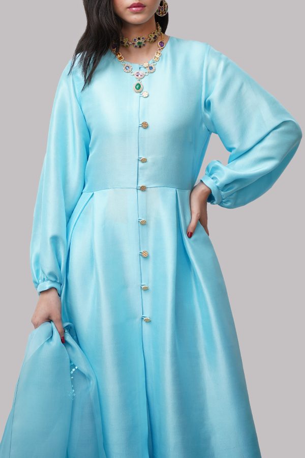 Tropical Breeze Blue Embellished Raw Silk Set - Image 4