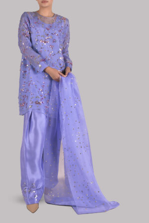 Forever Blue Embellished Organza Set