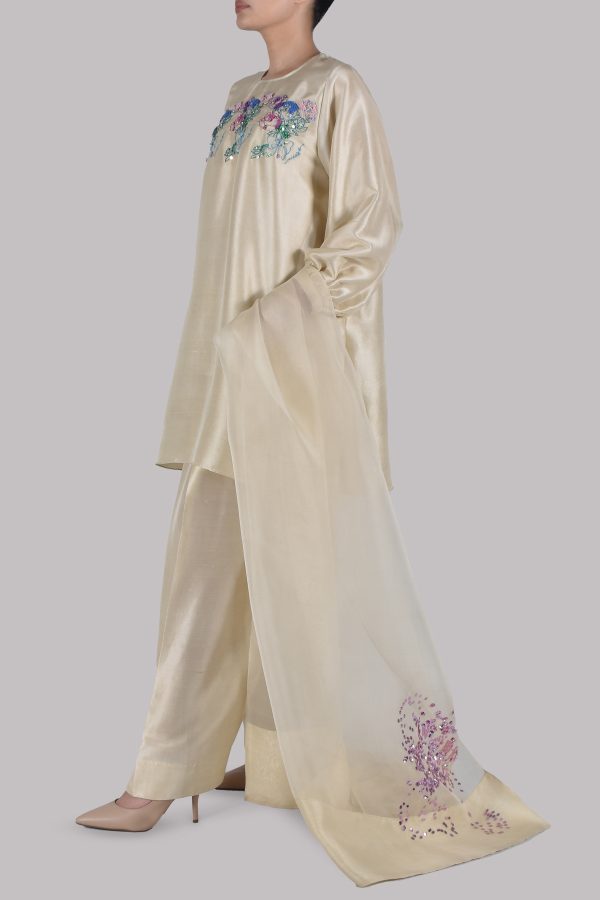 Lamb's Wool Embellished Raw Silk Set - Image 2