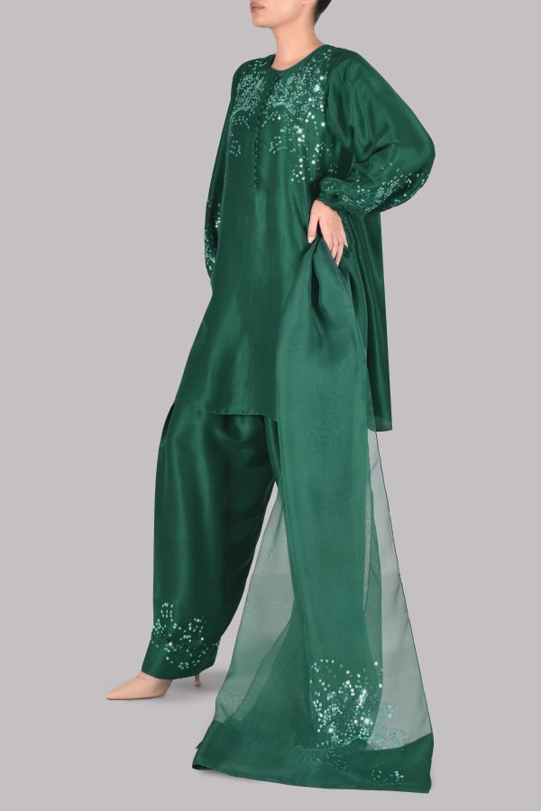 Galapagos Green Embellished Raw Silk Set - Image 2