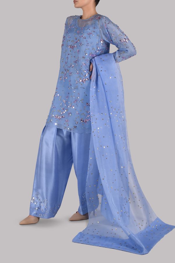 Forever Blue Embellished Organza Set - Image 2