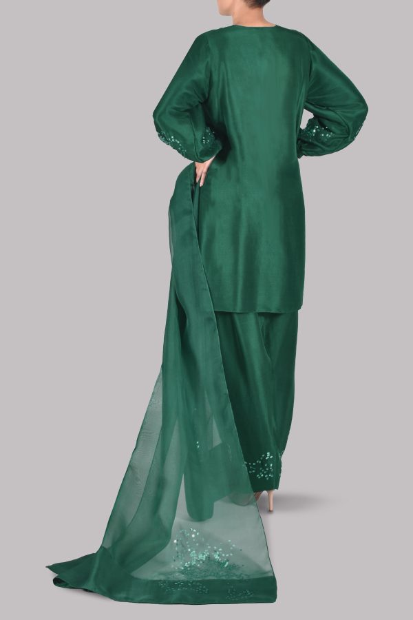 Galapagos Green Embellished Raw Silk Set - Image 3