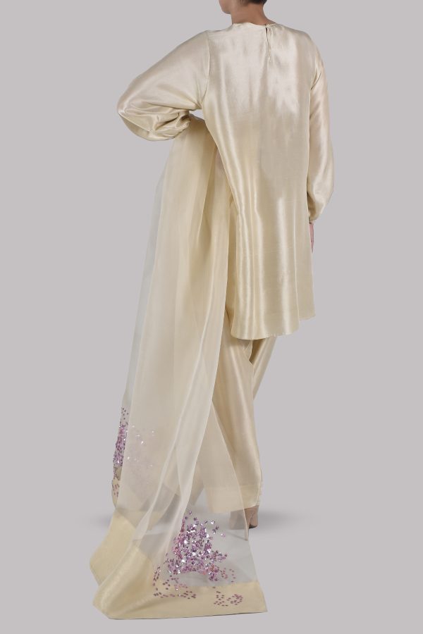 Lamb's Wool Embellished Raw Silk Set - Image 3