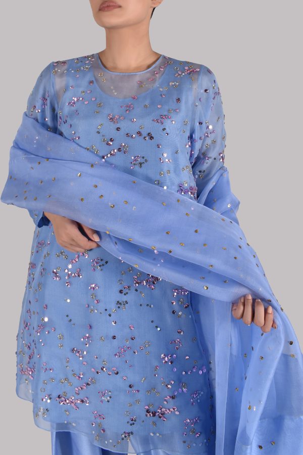 Forever Blue Embellished Organza Set - Image 4