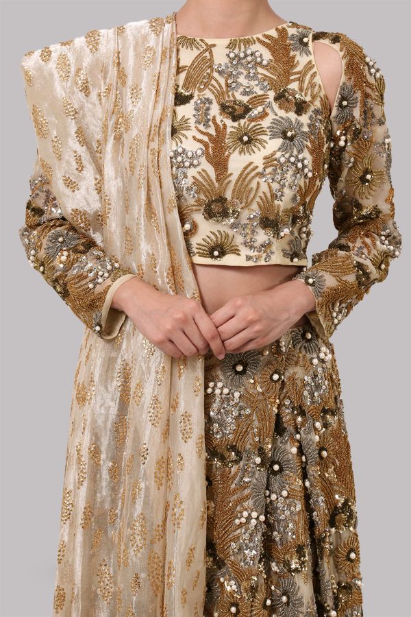 Gold Embellished Lehenga Choli Set - Image 4