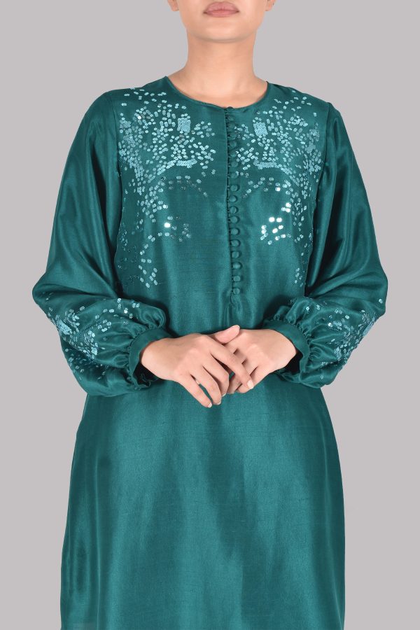 Galapagos Green Embellished Raw Silk Set - Image 4