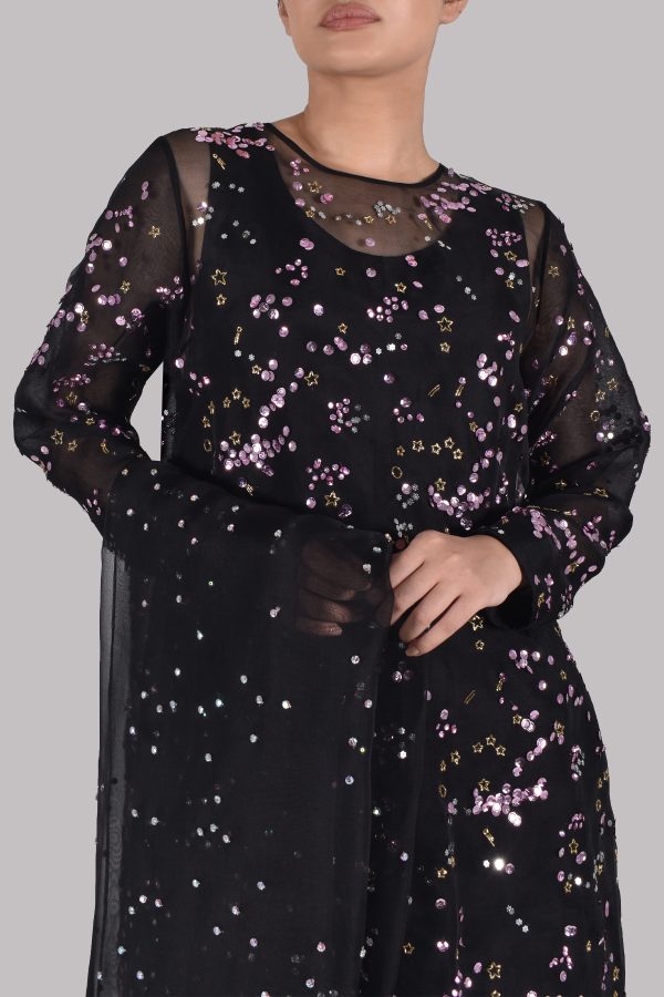 Black Embellished Organza Set - Image 4