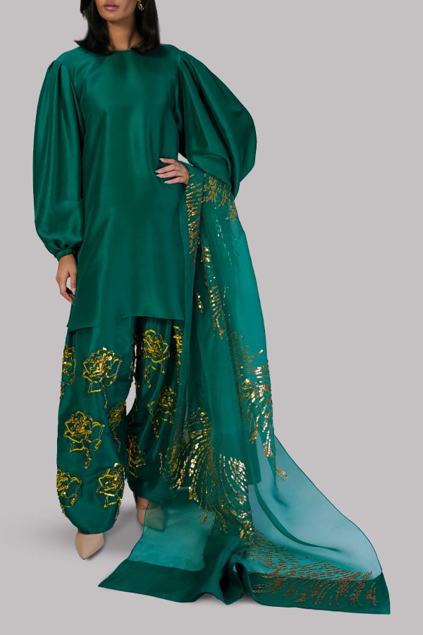 Galapagos Green Embellished Raw Silk Set