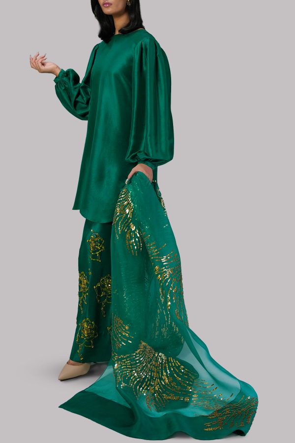 Galapagos Green Embellished Raw Silk Set - Image 2